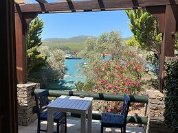 Kaptan Han Butik Otel