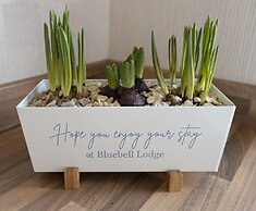 Hollicarrs - Bluebell Lodge