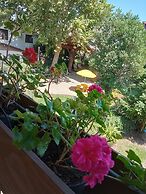 Hotel Pousada dos Plátanos