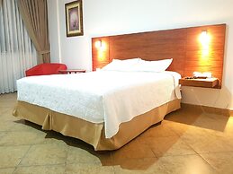 Hotel Palmar del Sol