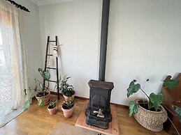 Coral Seaside Living