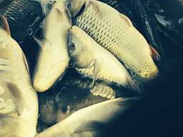 Remarkable 1-bed Apartment in Huntingdon