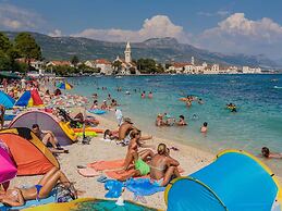 Dalmatian White Shell Apartment