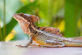 Kunken Boutique Hotel