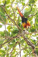 Kunken Boutique Hotel