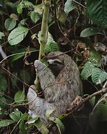 Kunken Boutique Hotel