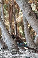 Ataraxis Grand and Spa