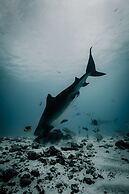 Ataraxis Grand and Spa