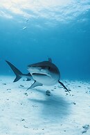 Ataraxis Grand and Spa