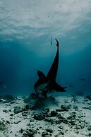 Ataraxis Grand and Spa