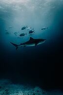 Ataraxis Grand and Spa