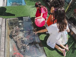 Hotel Recanto dos Dinossauros