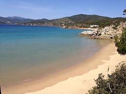 Appartamento Villa da 4 Fino a 5 Persone Giardino