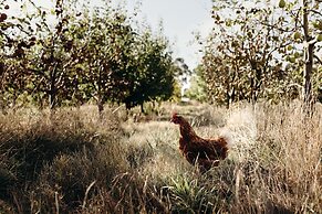 Iron Creek Bay Estate