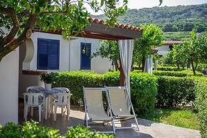 Appartamenti Standard Nice