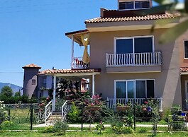 Welcome to Villa Oliva