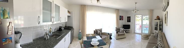 Welcome to Villa Oliva