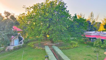 Bundela Bandhavgarh by Octave