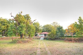 Bundela Bandhavgarh by Octave