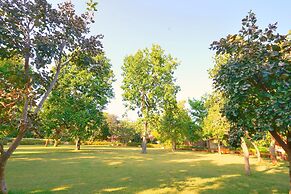 Bundela Bandhavgarh by Octave