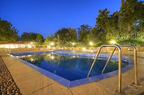 Bundela Bandhavgarh by Octave