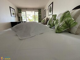 Barbadine - Resorts Flats - Sainte Anne