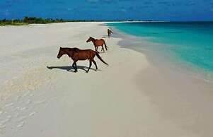 Charming 1-bed Cottage in Codrington