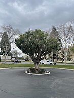 Chino Motel