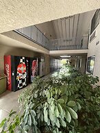 Chino Motel