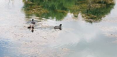 Beautiful 2-bed Lodge Ribble Valley Clitheroe