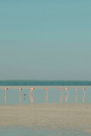 Nômade Temple Holbox