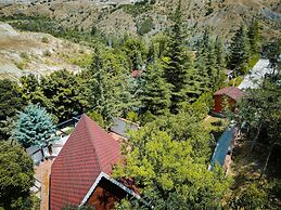 ÇELİK RESORT