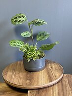 Inalens Airport Hotel