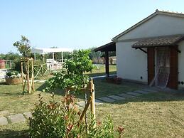 Agr. La Casa Della Lavanda - Il Rustico