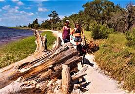 Golden Sands Carolina Beach Oceanfront, Tapestry by Hilton