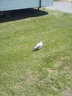 Stunning 3-bed Caravan in Camber Kitesurf Family