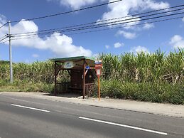 Nid douillet Spacieux Ventilé Campagne