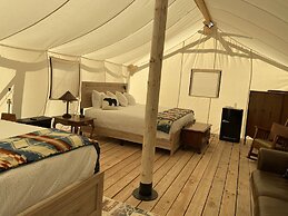 Yellowstone Dreamin Camp