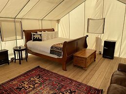 Yellowstone Dreamin Camp