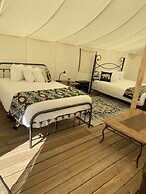 Yellowstone Dreamin Camp