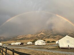 Yellowstone Dreamin Camp