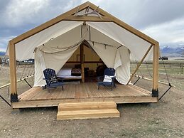 Yellowstone Dreamin Camp