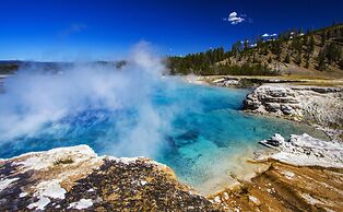 Yellowstone Dreamin Camp