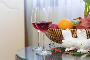 LE INDOCHINA DANANG HOTEL