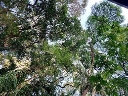 Pedra Bonita Flats