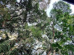 Pedra Bonita Flats