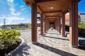 Great Blue Heron Hotel