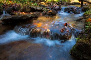 Canopy Escape by Taylor Made Deep Creek