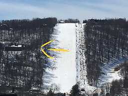 Snow Place Like Home