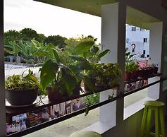 Hostel in Playa del Carmen